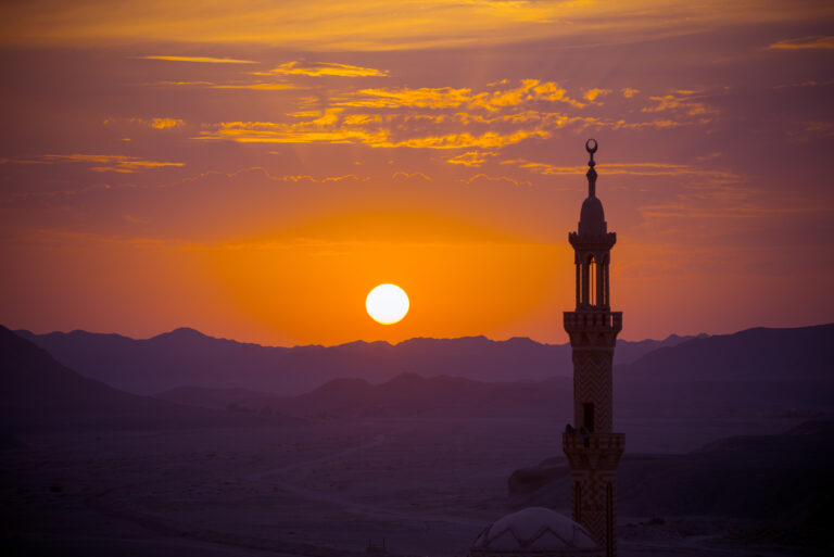 Read more about the article التَّقویٰ ھٰھُنَا  (اداریہ –  نومبر ۲۰۲۱)
